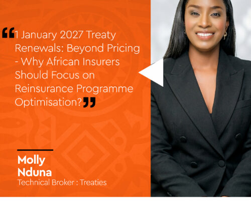 1 January 2027 Treaty Renewals: Beyond Pricing – Why African Insurers Should Focus on Reinsurance Programme Optimisation?